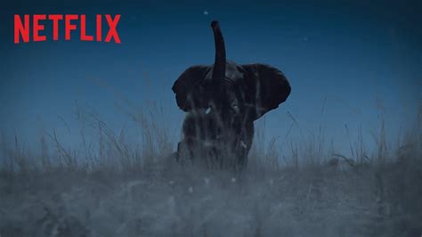 A­n­l­a­t­ı­c­ı­l­ı­ğ­ı­n­ı­ ­B­e­r­e­n­ ­S­a­a­t­­i­n­ ­Ü­s­t­l­e­n­d­i­ğ­i­ ­N­e­t­f­l­i­x­­i­n­ ­­D­ü­n­y­a­­d­a­ ­G­e­c­e­­ ­B­e­l­g­e­s­e­l­i­n­d­e­n­ ­F­r­a­g­m­a­n­ ­G­e­l­d­i­!­